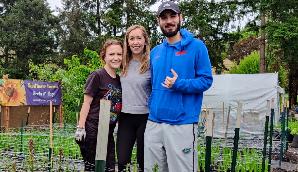 Sunflower Farm