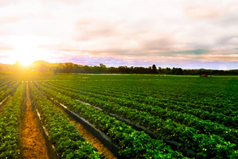 Day & Zimmermann Bayer Crop Sciences